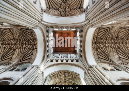 England, East Anglia, Norfolk, Norwich, Norwich Kathedrale, innen Stockfoto