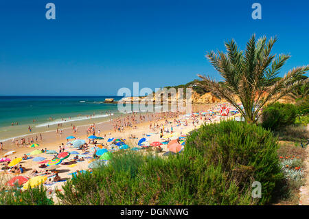 Santa Eulalia, Algarve, Portugal, Europa Stockfoto
