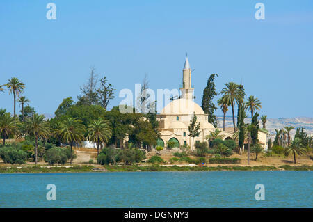 Hala Sultan Tekke Moschee neben Larnaca Salt Lake City, Süd-Zypern, Zypern Stockfoto