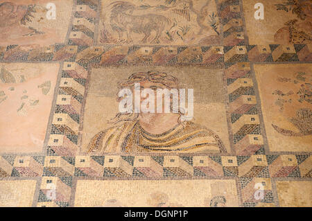 Mosaik in das Haus des Dionysos, archäologische Stätte von Paphos, Paphos, Südzypern Stockfoto