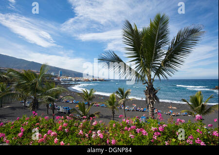 Playa Jardin in Puerto De La Cruz, Teneriffa, Kanarische Inseln, Spanien, Europa Stockfoto