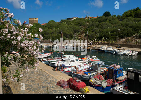 Kleinen Fischerhafen in Stintino, Sardinien, Italien, Europa Stockfoto