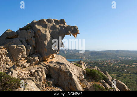 Capo d ' Orso, Sardinien, Italien, Europa Stockfoto