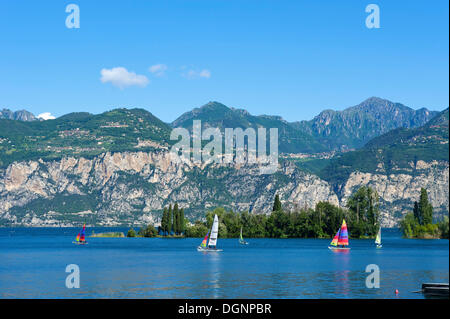 Segelboote in Malcesine, Gardasee, Italien, Europa Stockfoto