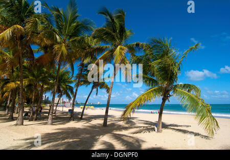 Strand, Isla Verde, San Juan, Puerto Rico, Karibik Stockfoto