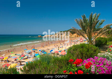 Beach, Santa Eulalia, Algarve, Portugal, Europa Stockfoto