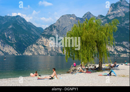 Strandpromenade am Lago di Garda, Torbole, Lago di Garda, Italien Stockfoto