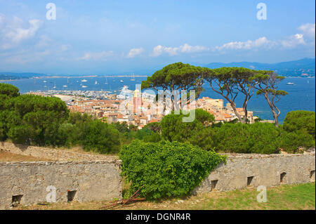 Blick auf die Stadt von der Zitadelle, Côte d ' Azur, Saint-Tropez, Département Var, Region Provence-Alpes-Côte d ' Azur, Frankreich Stockfoto