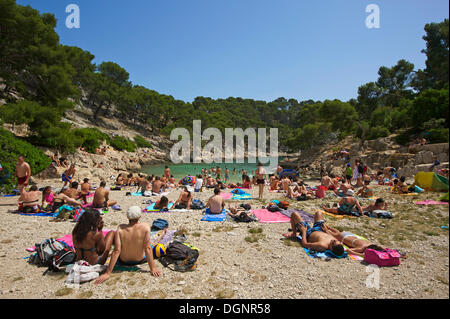 Badegäste am Strand in der Calanque de Port-Pin Bucht, Region, Département Bouches-du-Rhône, Cassis, Calanques Nationalpark Stockfoto