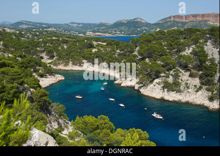 Boote in der felsigen Bucht Calanque de Port-Pin, der Nationalpark der Calanques, Cassis, Département Bouches-du-Rhône, Region Stockfoto