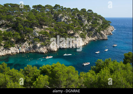 Boote in der felsigen Bucht Calanque de Port-Pin, der Nationalpark der Calanques, Cassis, Département Bouches-du-Rhône, Region Stockfoto