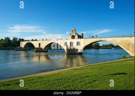 Pont Saint-Benezet Brücke über die Rhône, Avignon, Provence, Region Provence-Alpes-Côte d ' Azur, Frankreich Stockfoto