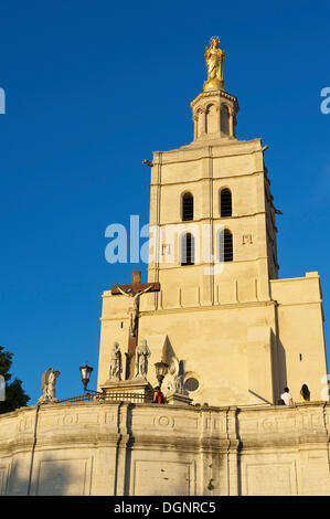 Palais des Papes, Papstpalast, Avignon, Provence, Region Provence-Alpes-Côte d ' Azur, Frankreich Stockfoto