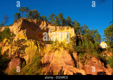 Ocres, ockerfarbenen Felsen, Roussillon, Provence, Region Provence-Alpes-Côte d ' Azur, Frankreich Stockfoto