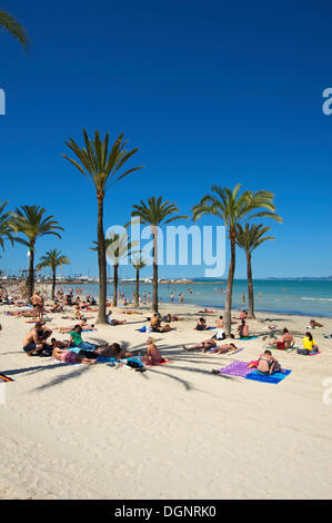 Touristen auf Playa de s' Arenal Strand, Arenal, Palma de Mallorca, Mallorca, Balearen, Spanien Stockfoto