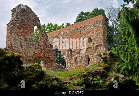 Viljandi Burgruine, Burg des Ordens der Kreuzritter, die Brüder Schwert, Viljandi, Estland, Baltikum Stockfoto