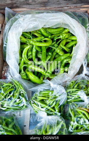 Frische grüne Chilis zum Verkauf auf dem Markt in Plastiktüten, Türkei Stockfoto