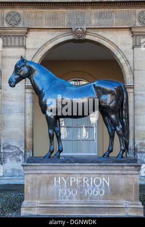 England, East Anglia, Suffolk, Newmarket, National Horseracing Museum, Statue von Hyperion Stockfoto