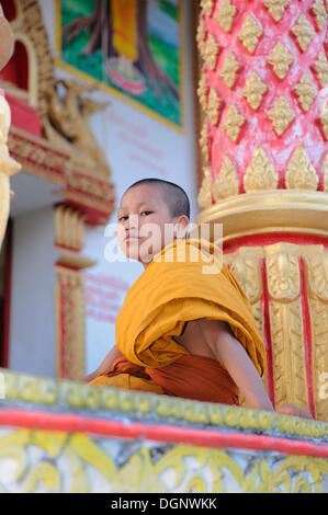 Young-buddhistischer Mönch in einem Tempel in Vang Vieng, Laos, Südostasien Stockfoto