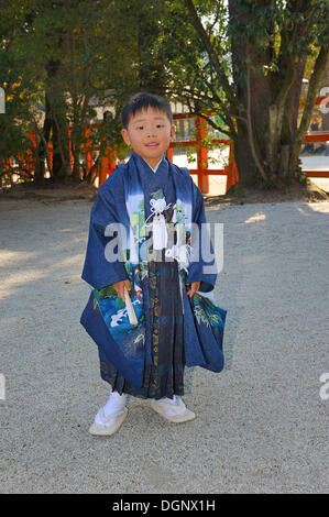 Shichi-Go-San, sieben-fünf-drei Festivals, junge in einem Kimono an der Shimogamo-Schrein in Kyoto, Japan, Südostasien, Asien Stockfoto