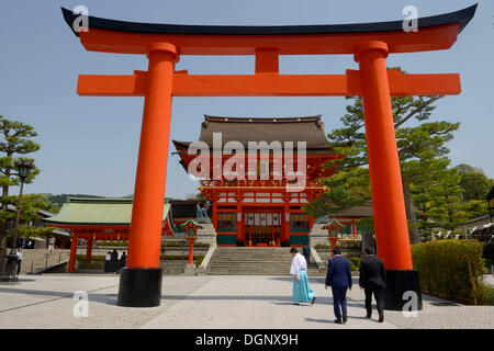 Torii außerhalb der Fushimi Inari-Taisha Shinto-Schrein, Fushimi, Kyoto, Kinki-Region, Japan Stockfoto