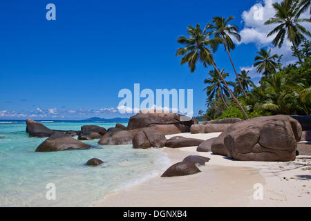 Kokospalmen (Cocos Nucifera) und Granitfelsen am Strand Anse La Passe, Silhouette Island, Seychellen, Afrika Stockfoto