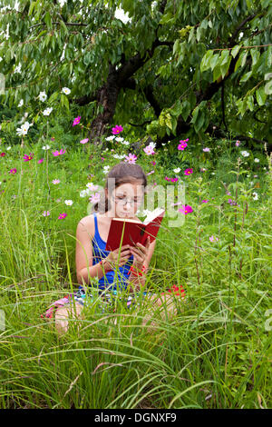 Mädchen, 11 Jahre, einem Buch sitzen in einer Blumenwiese Stockfoto