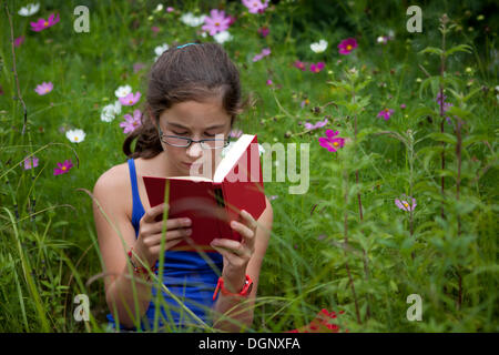 Mädchen, 11 Jahre, einem Buch sitzen in einer Blumenwiese Stockfoto