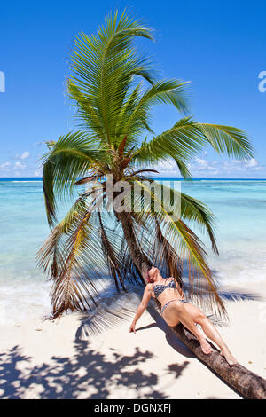 Junge Frau liegend auf eine Kokospalme am Strand Anse La Passe, Silhouette Island, Seychellen, Afrika, Indischer Ozean Stockfoto