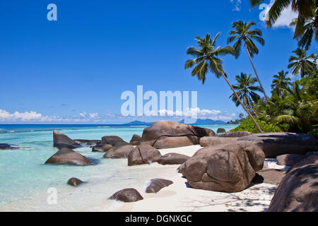 Kokospalmen (Cocos Nucifera) und Granitfelsen am Strand von Anse La Passe, Silhouette Island, Seychellen, Afrika Stockfoto