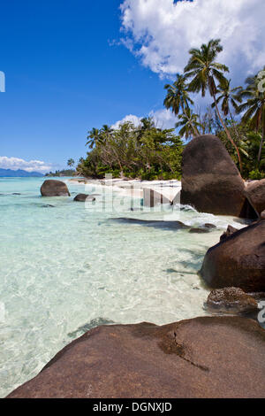 Kokospalmen (Cocos Nucifera) und Granitfelsen am Strand von Anse La Passe, Silhouette Island, Seychellen, Afrika Stockfoto