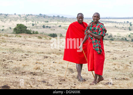 Zwei Massai-Krieger tragen traditionelle Kleidung in der Savanne Massai Mara, Distrikt Narok, Serengeti, Provinz Rift Valley Stockfoto