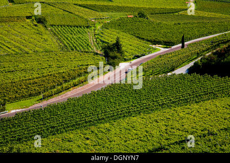 Süd Tiroler Wein Straße, Südtirol, Italien, Europa Stockfoto