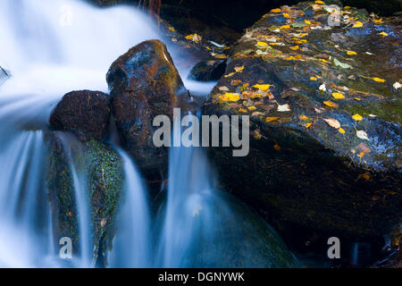 Fließende Mountain Stream, Südtirol, Italien, Europa Stockfoto