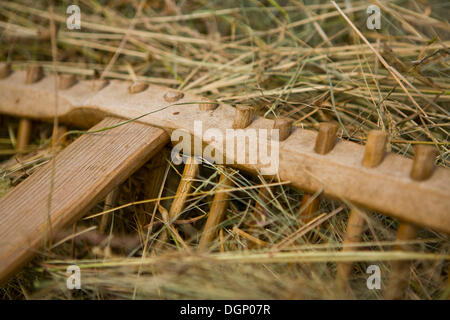 Heu-Rechen, Heuernte im Sommer Stockfoto