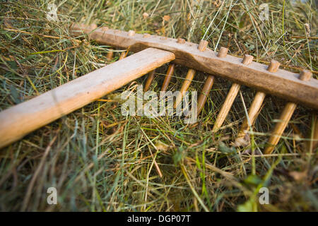 Heu-Rechen, Heuernte im Sommer Stockfoto