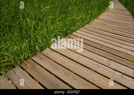 Boardwark im Biotop Umwelt, Kalterer See, Kalterer See, Lago di Caldaro, Südtirol, Trentino-Alto Adige, Italien, Europa Stockfoto