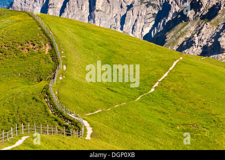 Auf Mt Zendleser Kofel über Zanser Alm, Zanser Alm, Villnoesstal oder Val di Funes-Tal, Dolomiten, Südtirol, Italien, Europa Stockfoto