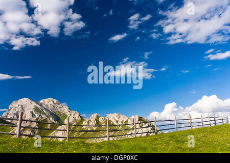 Auf Mt Zendleser Kofel über Zanser Alm, Zanser Alm, mit Mt Peitlerkofel im Rücken, Villnoesstal oder Tal Val di Funes, Dolomiten Stockfoto