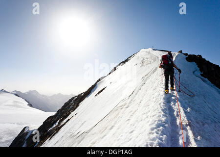 Wanderer beim Aufstieg auf den Gipfel des Similaun Berg auf Niederjochferner Gletscher ins Schnalstal die Stockfoto