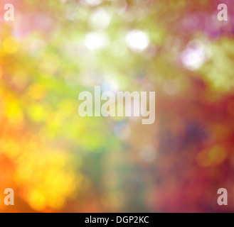 Abstrakte Unschärfe Hintergrund Herbst Trendfarben mit natürlichen Bokeh mit Sonne leuchten Stockfoto