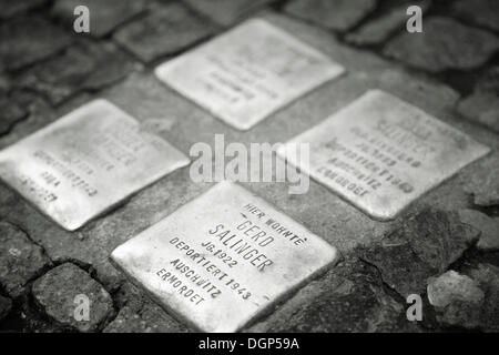 Stolpersteine, Steinen Denkmal für Berliner ermordet während des zweiten Weltkrieges II, Berlin Stockfoto