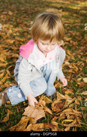 Mädchen, 3 Jahre, sammeln Blätter in einem Park im Herbst Stockfoto