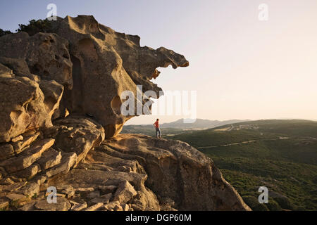 Capo d ' Orso im Abendlicht, Sardinien, Italien, Europa Stockfoto