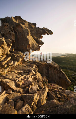 Capo d ' Orso im Abendlicht, Sardinien, Italien, Europa Stockfoto