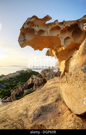 Capo d ' Orso, Sardinien, Italien, Europa Stockfoto