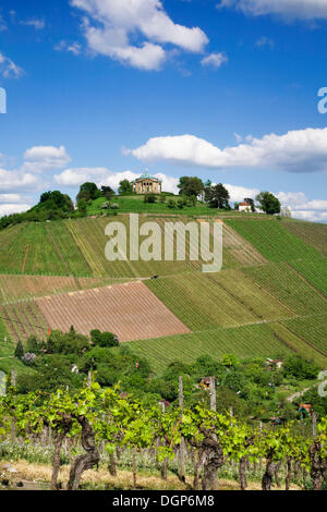 Württemberg Mausoleum in den Weinbergen in der Nähe von Stuttgart Rotenberg, Baden-Württemberg Stockfoto