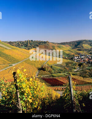 Weinberge im Herbst in der Nähe von Uhlbach, Baden-Württemberg Stockfoto