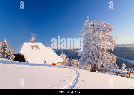 Verschneite Hütte auf dem Belchen Gipfel mit Blick auf den Feldberg, Schwarzwald, Baden-Württemberg Stockfoto