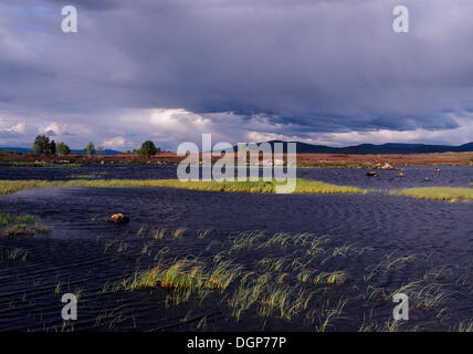 Loch-Ba, Rannoch Moor, Highlands, Schottland, Vereinigtes Königreich, Europa Stockfoto